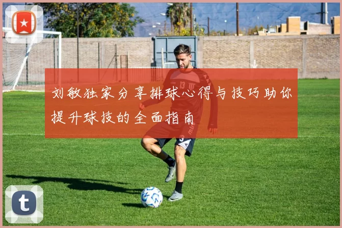 刘敏独家分享排球心得与技巧助你提升球技的全面指南