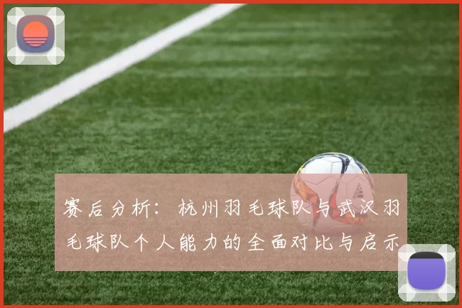 赛后分析：杭州羽毛球队与武汉羽毛球队个人能力的全面对比与启示