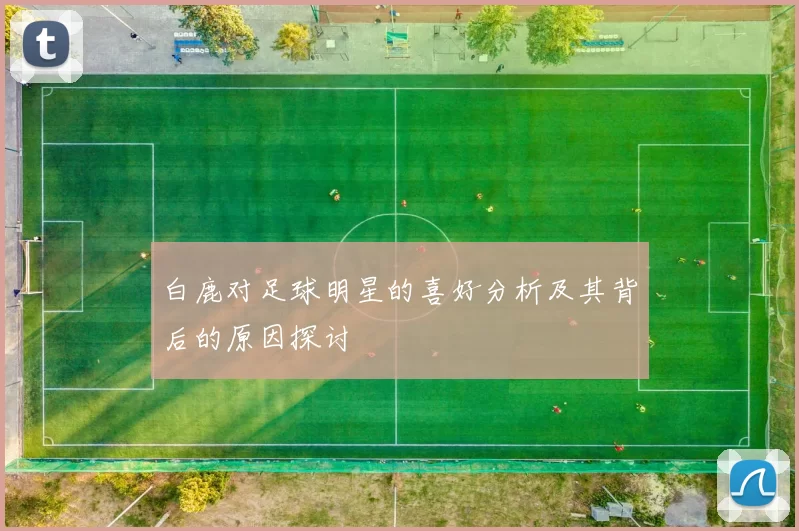 白鹿对足球明星的喜好分析及其背后的原因探讨