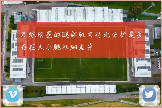 足球明星的腿部肌肉对比分析是否存在大小腿粗细差异