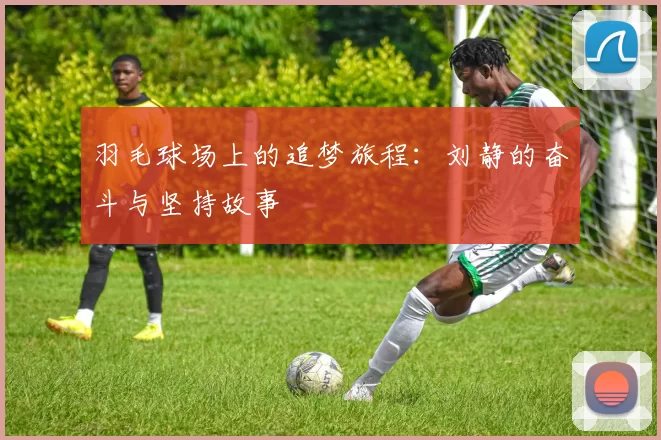 羽毛球场上的追梦旅程：刘静的奋斗与坚持故事