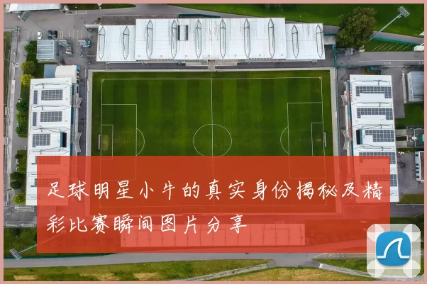 足球明星小牛的真实身份揭秘及精彩比赛瞬间图片分享