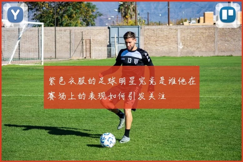 紫色衣服的足球明星究竟是谁他在赛场上的表现如何引发关注