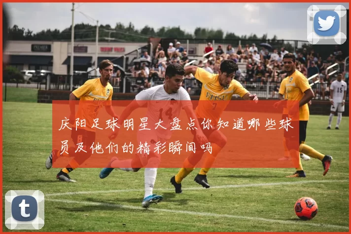 庆阳足球明星大盘点你知道哪些球员及他们的精彩瞬间吗