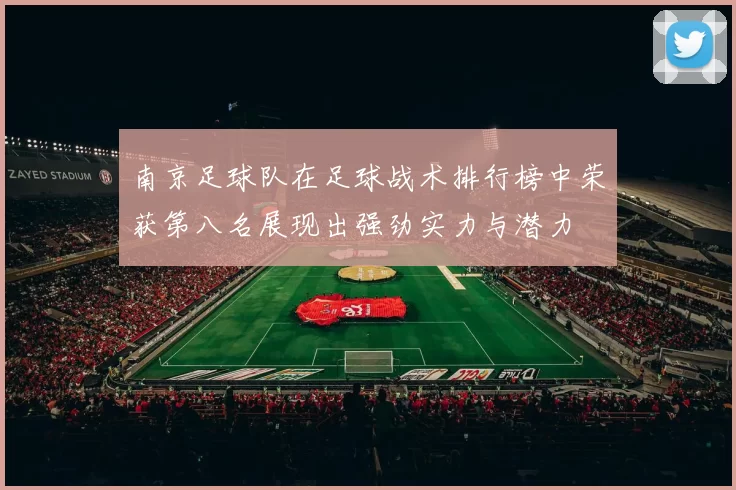 南京足球队在足球战术排行榜中荣获第八名展现出强劲实力与潜力