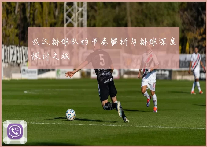 武汉排球队的节奏解析与排球深度探讨之旅