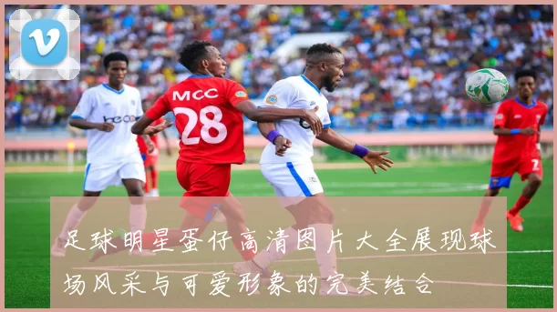 足球明星蛋仔高清图片大全展现球场风采与可爱形象的完美结合
