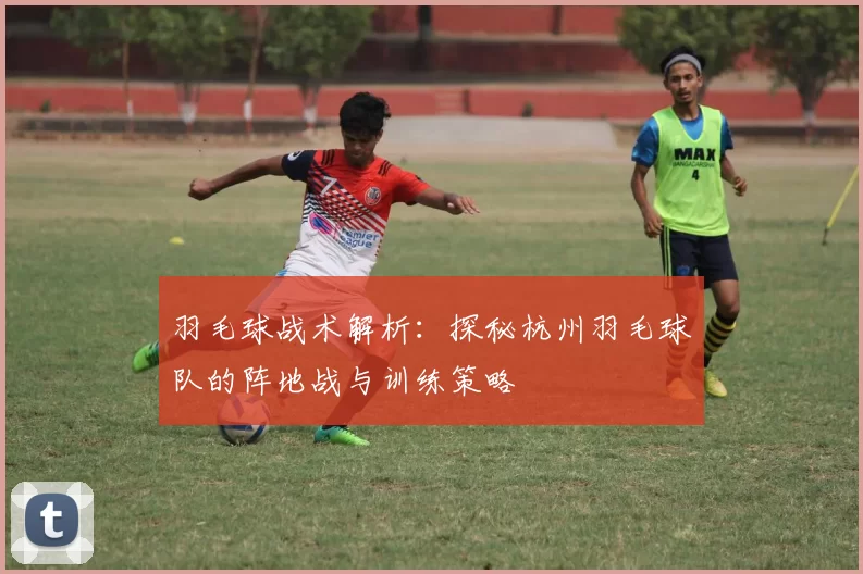 羽毛球战术解析：探秘杭州羽毛球队的阵地战与训练策略