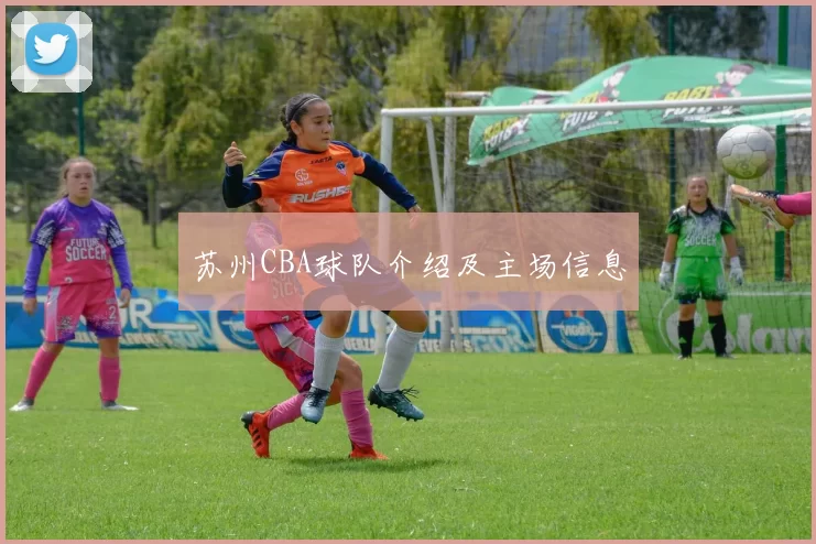 苏州CBA球队介绍及主场信息