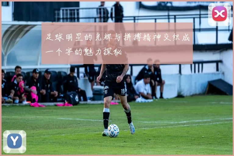 足球明星的光辉与拼搏精神交织成一个字的魅力探秘