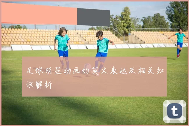 足球明星动画的英文表达及相关知识解析