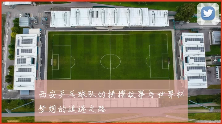 西安乒乓球队的拼搏故事与世界杯梦想的追逐之路