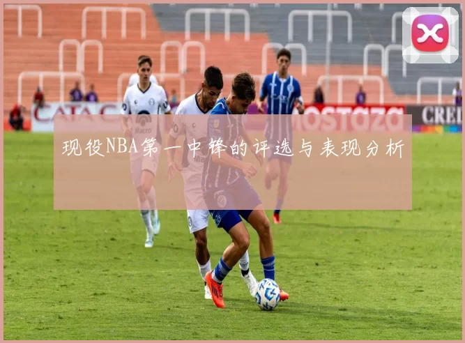 现役NBA第一中锋的评选与表现分析
