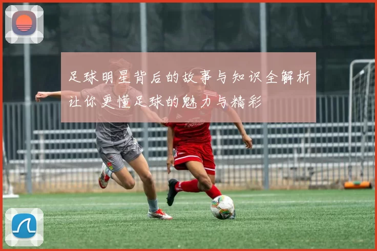 足球明星背后的故事与知识全解析让你更懂足球的魅力与精彩