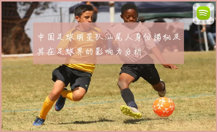 中国足球明星队汕尾人身份揭秘及其在足球界的影响力分析